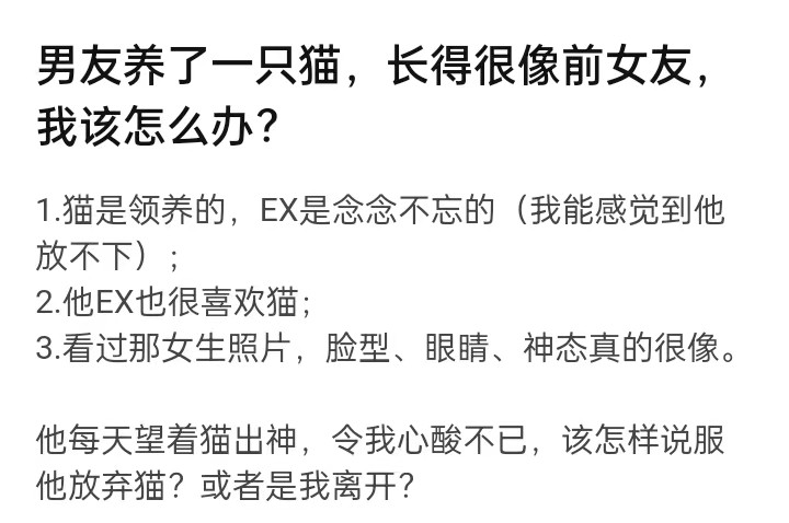 男友养了一只猫，长得很像他的前女友该怎么办？网民：以“绝”为后患