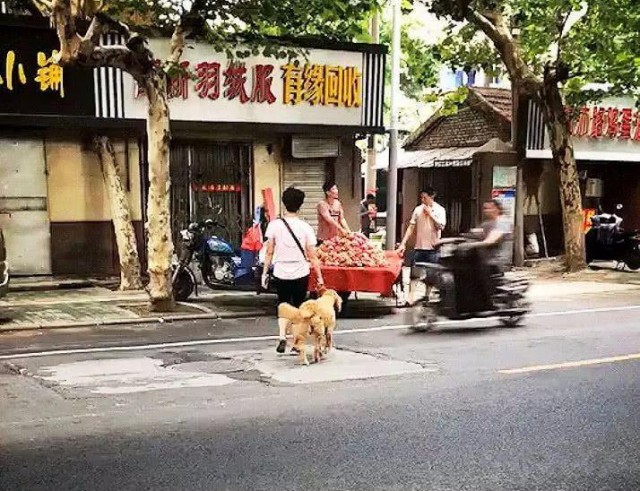 那些爷爷奶奶带大的狗子，忍住别笑，果然你大妈还是你大妈！